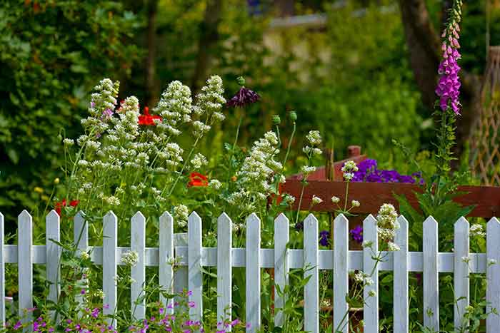 Keeping Animals out of your Garden