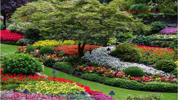 annuals for sale in eau claire, wisconsin