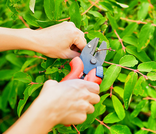 Why You Should Hire a Landscaping Company