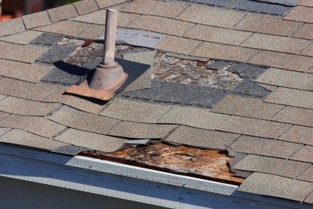 Roof in Need of Repair