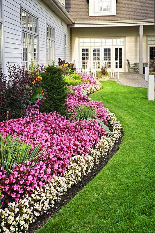 5 Steps to Preparing your Lawn for Summer